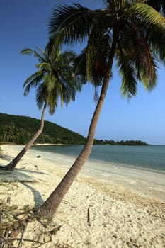 A beach at Chumphon at the ship station for the onward journey to the island of To Tao in the Gulf of Thailand in the south-west of Thailand in South East Asia.