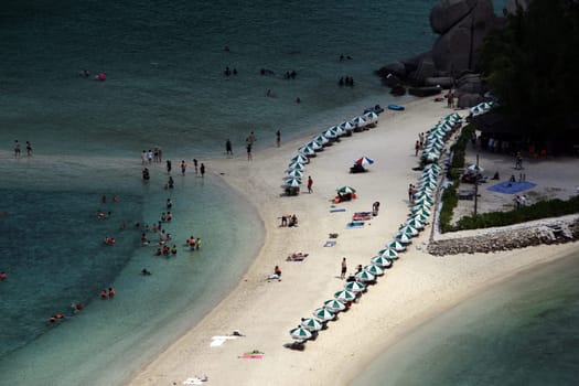 The beach and island landscape on the island of Koh Naang Yuan next to the island of Ko Tao in the Gulf of Thailand in the south western of Thailand in South East Asia.