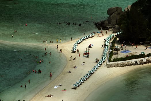 The beach and island landscape on the island of Koh Naang Yuan next to the island of Ko Tao in the Gulf of Thailand in the south western of Thailand in South East Asia.