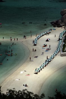 The beach and island landscape on the island of Koh Naang Yuan next to the island of Ko Tao in the Gulf of Thailand in the south western of Thailand in South East Asia.