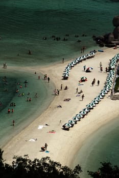 The beach and island landscape on the island of Koh Naang Yuan next to the island of Ko Tao in the Gulf of Thailand in the south western of Thailand in South East Asia.