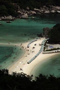 The beach and island landscape on the island of Koh Naang Yuan next to the island of Ko Tao in the Gulf of Thailand in the south western of Thailand in South East Asia.