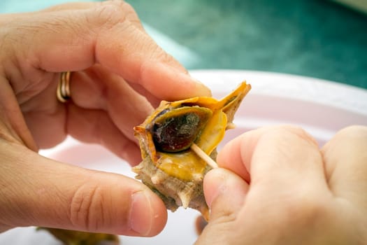 taking one stick with canailla, sea shell