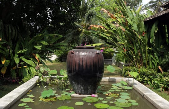 Ein Garten in einem Hotel auf der Insel Ko Tao im Golf von Thailand im Suedwesten von Thailand in Suedostasien.