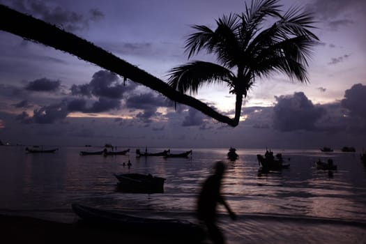 The beach of Hat Sai Ri on the island of Ko Tao in the Gulf of Thailand in the south-west of Thailand in South East Asia.