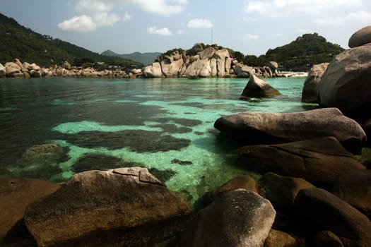 The beach and island landscape on the island of Koh Naang Yuan next to the island of Ko Tao in the Gulf of Thailand in the south western of Thailand in South East Asia.