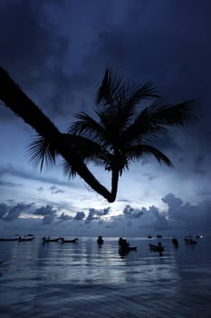 The beach of Hat Sai Ri on the island of Ko Tao in the Gulf of Thailand in the south-west of Thailand in South East Asia.