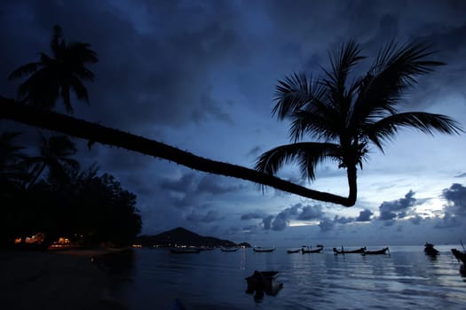 The beach of Hat Sai Ri on the island of Ko Tao in the Gulf of Thailand in the south-west of Thailand in South East Asia.
