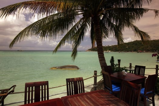 Der Strand an der Mae Haad Bay Beach auf der Insel Ko Tao im Golf von Thailand im Suedwesten von Thailand in Suedostasien