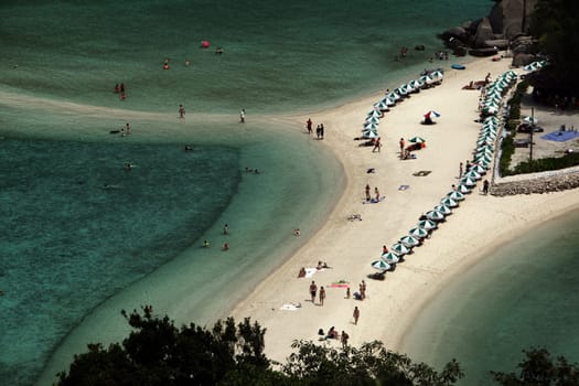 The beach and island landscape on the island of Koh Naang Yuan next to the island of Ko Tao in the Gulf of Thailand in the south western of Thailand in South East Asia.