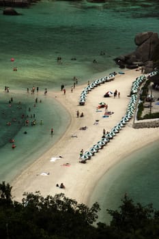 The beach and island landscape on the island of Koh Naang Yuan next to the island of Ko Tao in the Gulf of Thailand in the south-west of Thailand in South East Asia