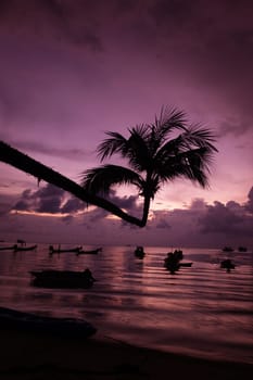 The beach of Hat Sai Ri on the island of Ko Tao in the Gulf of Thailand in the south-west of Thailand in South East Asia.