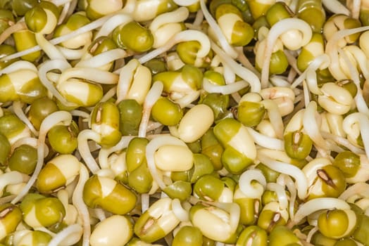 Soybean sprouts