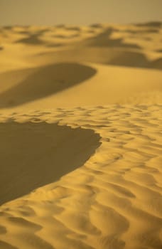 The Sahara Wueste near Douz in the central south in Tunisia in North Africa.
