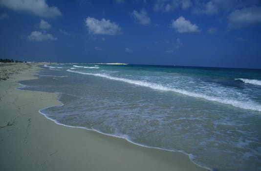 A sandy beach on the island of Jierba in the south of Tunisia in North Africa.