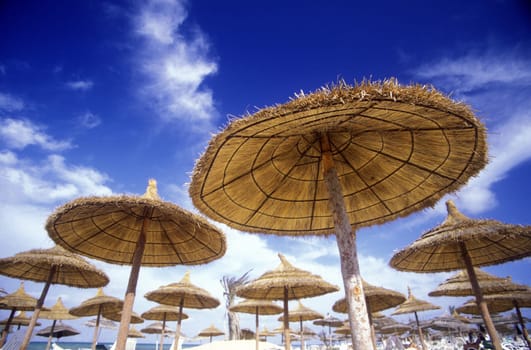 The beach on the Mediterranean Sea at the old town in Monastir on the Mediterranean Sea in the northeast of Tunisia in North Africa.