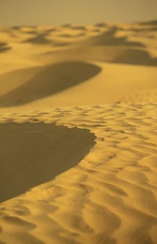 The Sahara Wueste near Douz in the central south in Tunisia in North Africa.