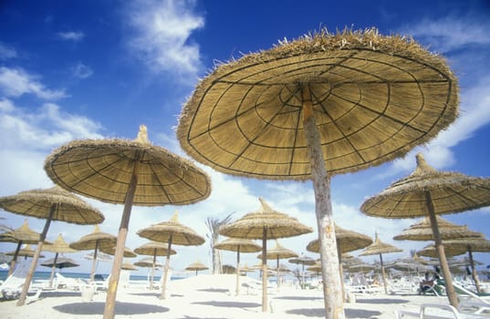The beach on the Mediterranean Sea at the old town in Monastir on the Mediterranean Sea in the northeast of Tunisia in North Africa.