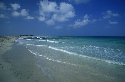 A sandy beach on the island of Jierba in the south of Tunisia in North Africa.