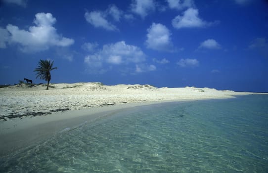 Africa,Tunisia,Jerba A beach on the island of Jerba in the south of Tunisia. (URS FLUEELER)