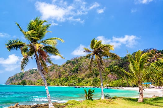 Three palm trees lined up next to the turquoise Caribbean Sea in La Miel, Panama