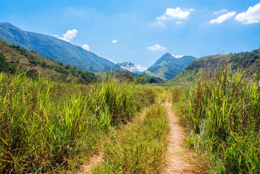 Lush green valley with tall grass and beautiful green hills in Santander, Colombia