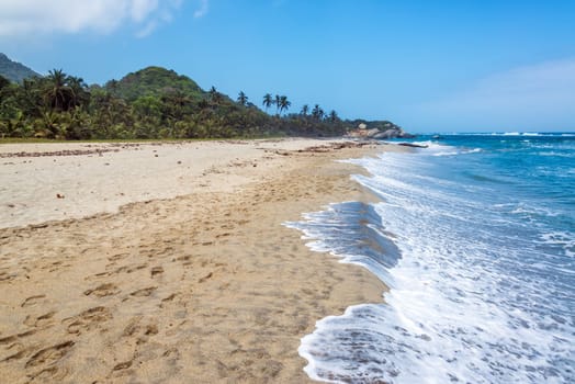 Beach in Tayrona National Park in Colombia with thick vegetation in the background
