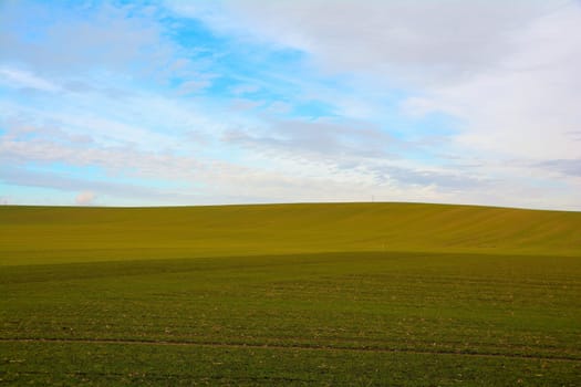 Hills