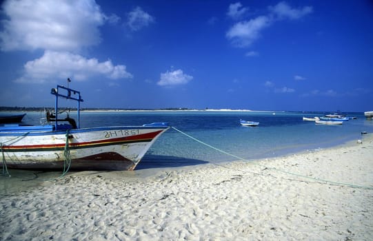 A sandy beach on the island of Jierba in the south of Tunisia in North Africa.