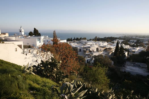Africa,Tunisia,Tunis,Sidi Bou Said,Old Town