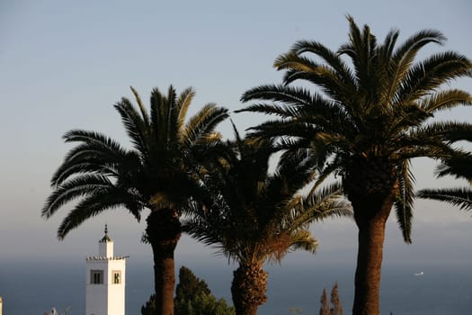 Africa,Tunisia,Tunis,Sidi Bou Said,Old Town