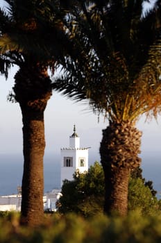 Africa,Tunisia,Tunis,Sidi Bou Said,Old Town