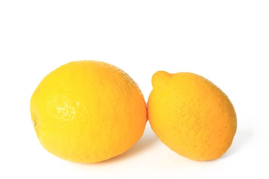 Lemons (Citrus x limon) - ripe fruit exposed against white background