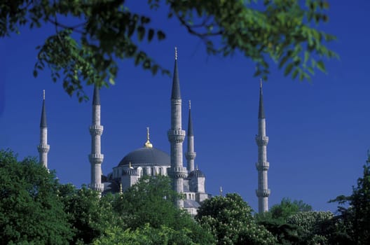 The Blue Mosque in the Sulranahmet district of Istanbul in the Tuerkey.