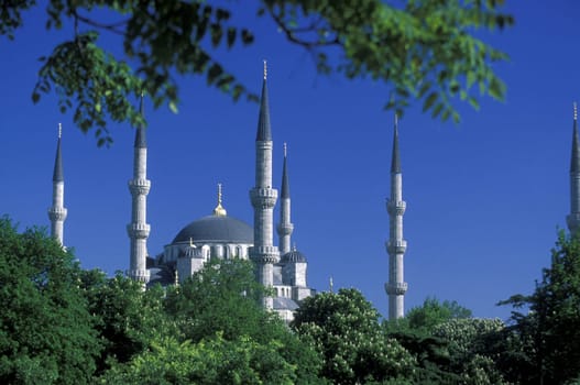 The Blue Mosque in the Sulranahmet district of Istanbul in the Tuerkey.