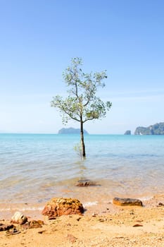 Thailand
