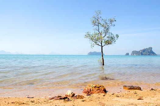 Thailand