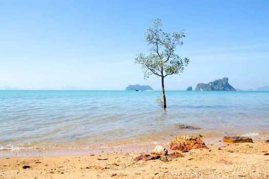 Thailand