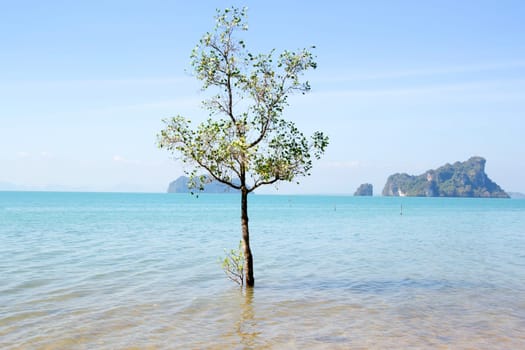 Thailand