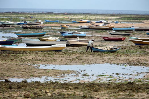 Asia,South East,Indonesia,Bali,Island,Nusa Lembongan,Landscape,Nature,Sea,Coast,Boat,Everyday,Economy,Seagrass,Plantation,Raw Material,Eppe,(Urs Flueeler)