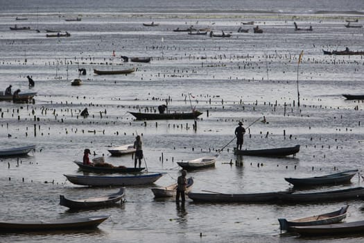 ASIA,INDONESIA,BALI,INSEL,NUSA LEMBONGAN,STRAND,LANDSCHAFT,JUNGUTBATU,SEEGRAS,PLANTAGE,EXPORT,ERNTE,MEER (URS FLUEELER)