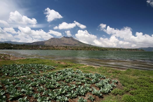 Asia,South East,Indonesia,Bali,Island,Central Bali,Lake Batur,Lake,Volcano,Landscape,(Urs Flueeler)