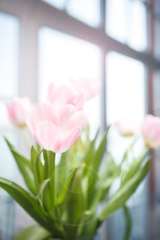 Tulip bouquet