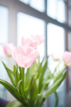 Tulip bouquet