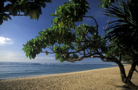 A beach in Nusa Dua in the south of the island of Bali in Indonesia in South East Asia.