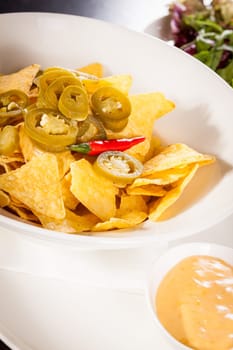 Bowl with nachos tortillas with pepperoni and fresh tomato salsa in a plate