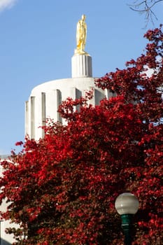 Daytime on the Capital Grounds Salem Oregon Northwest United States