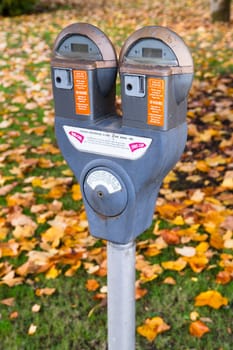 A dual parking meter downtown by the park