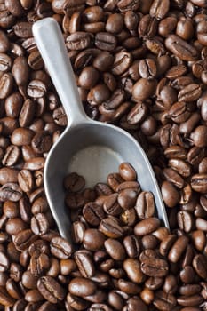 Coffee shovel lies between many coffee beans