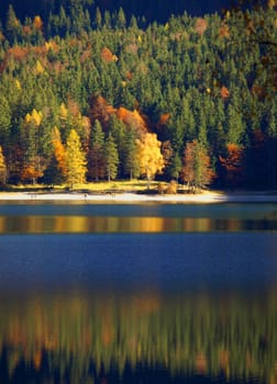 Banks of the Eibsee,Upper Bavaria,Germany